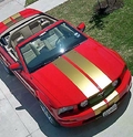 T_Red new Pic's