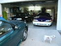 One little, two little, three little mustangs